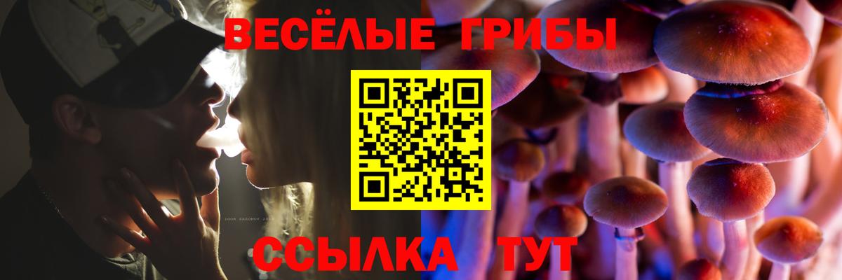 Кстово  Галлюциногенные грибы ЛСД  Вход с VPN  Псилоцибиновые грибы мицелий 